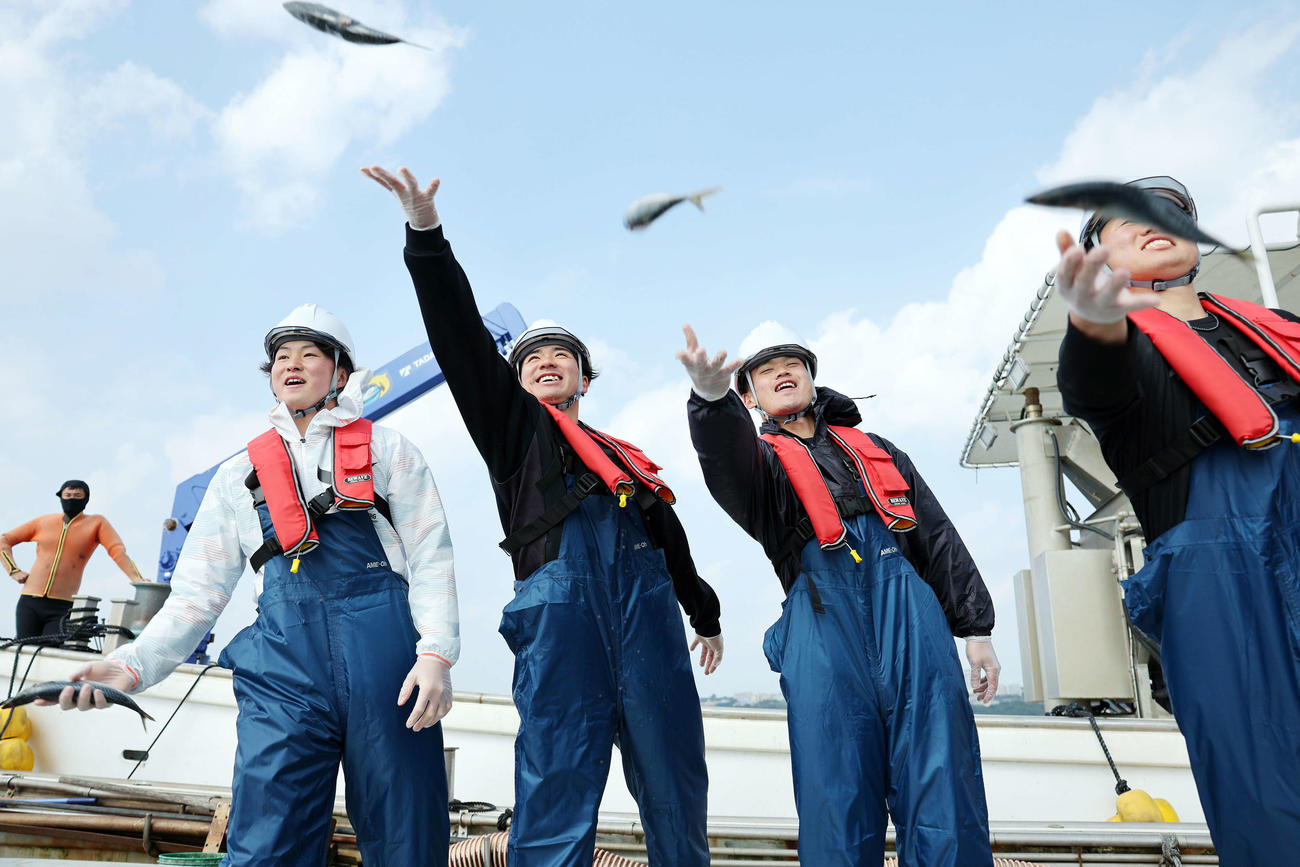 クロマグロ養殖場で餌やりする、左からDeNA竹田、篠木、加藤、若松（撮影・鈴木正人）