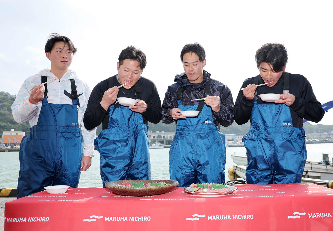 ロマグロを試食する、左からDeNA竹田、若松、加藤、篠木（撮影・鈴木正人）