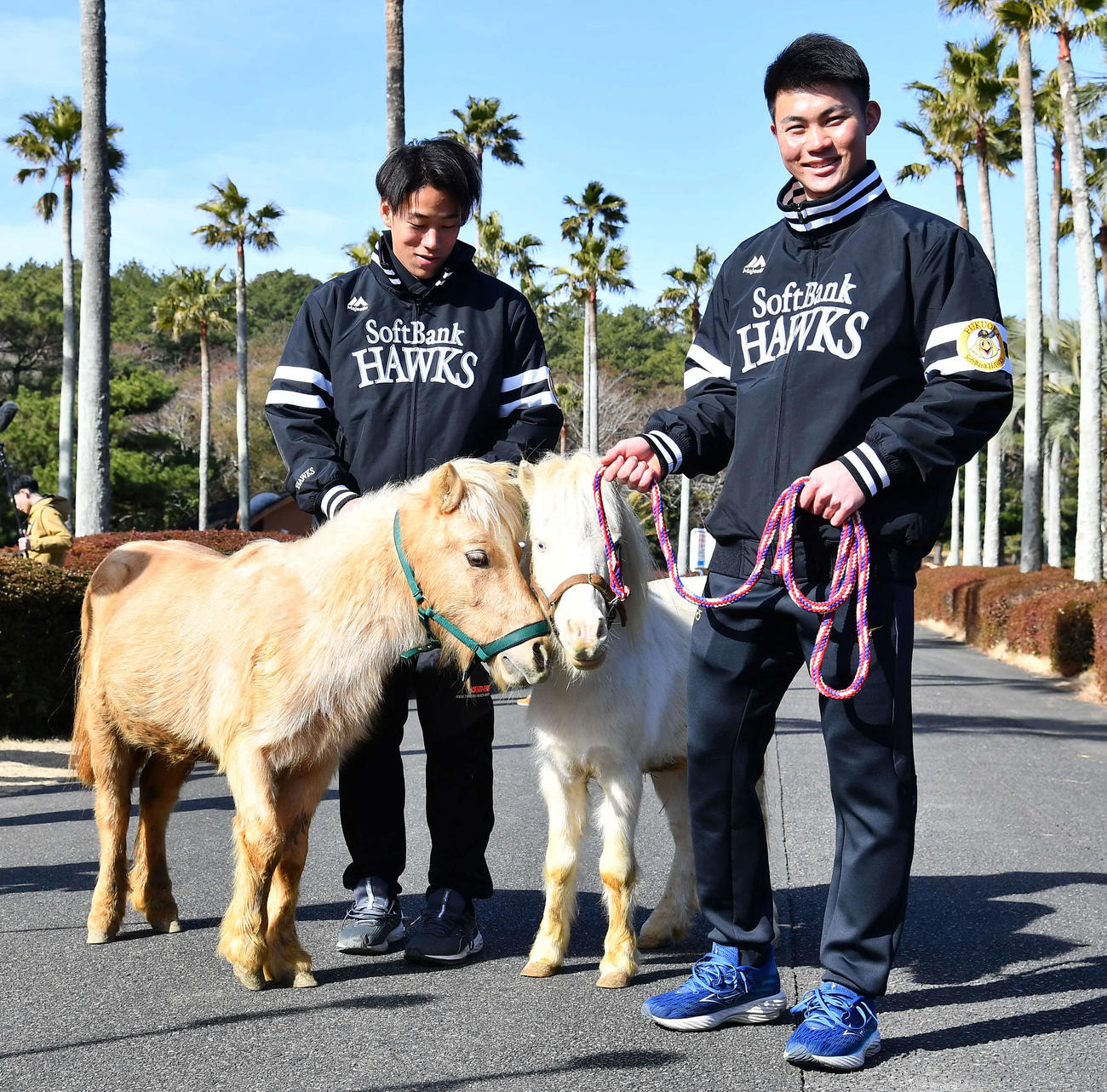 キャンプ休日新人体験でポニーの引馬トレーニングを行ったソフトバンク庄子（右）と岩崎（撮影・岩下翔太）