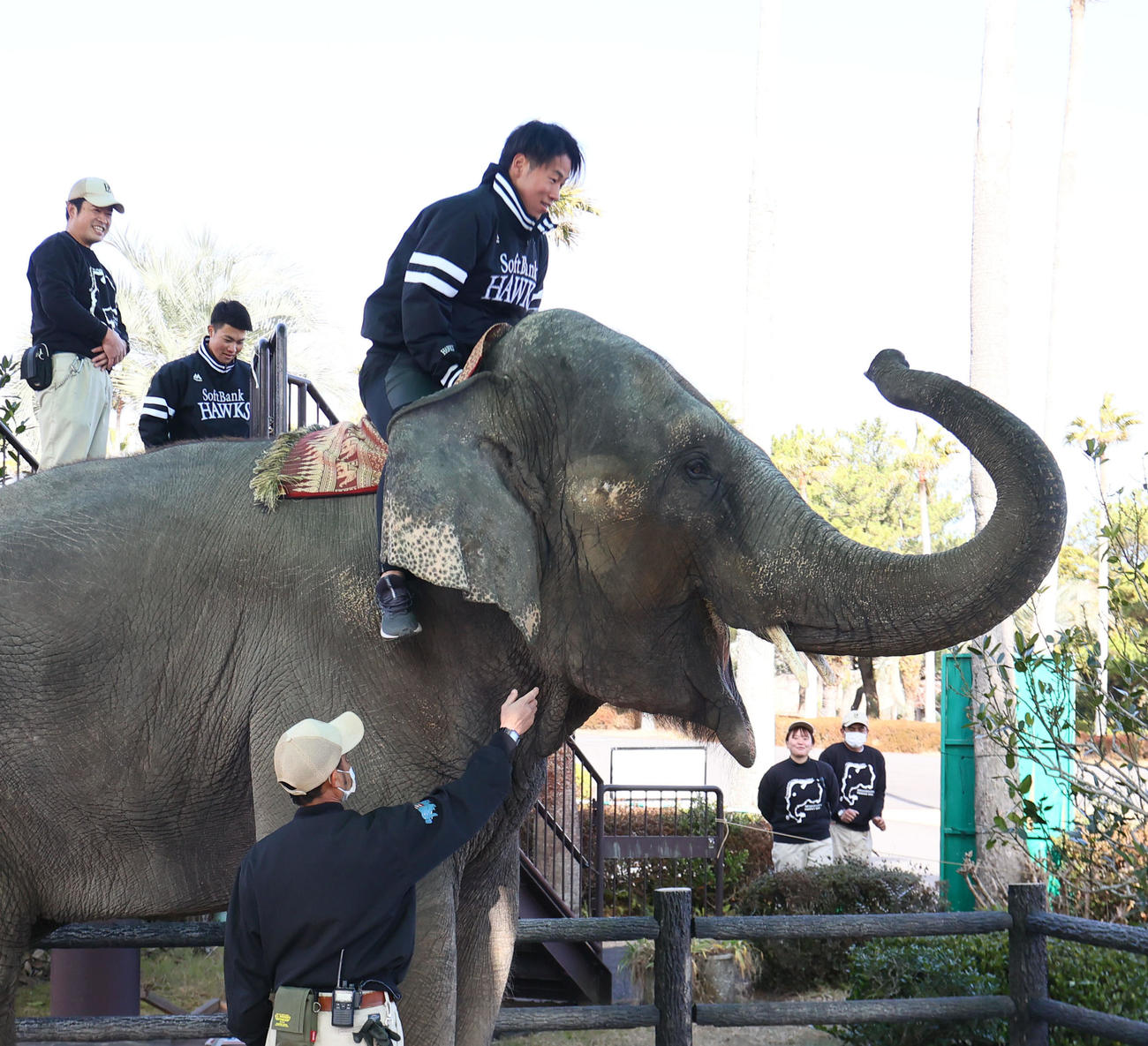 ゾウのみどりに乗った岩崎（撮影・梅根麻紀）