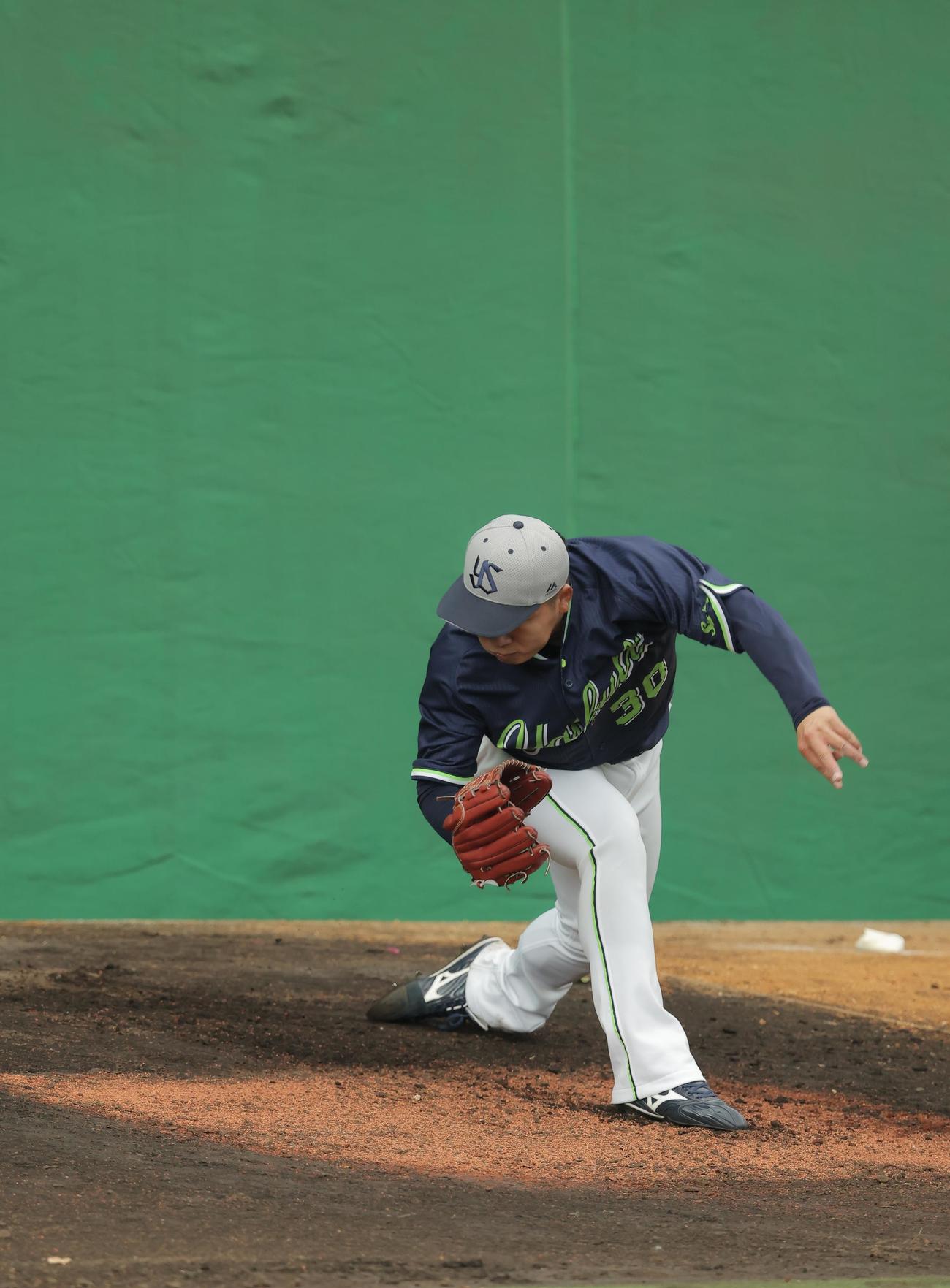 ブルペン投球するヤクルト荘司（撮影・河田真司）
