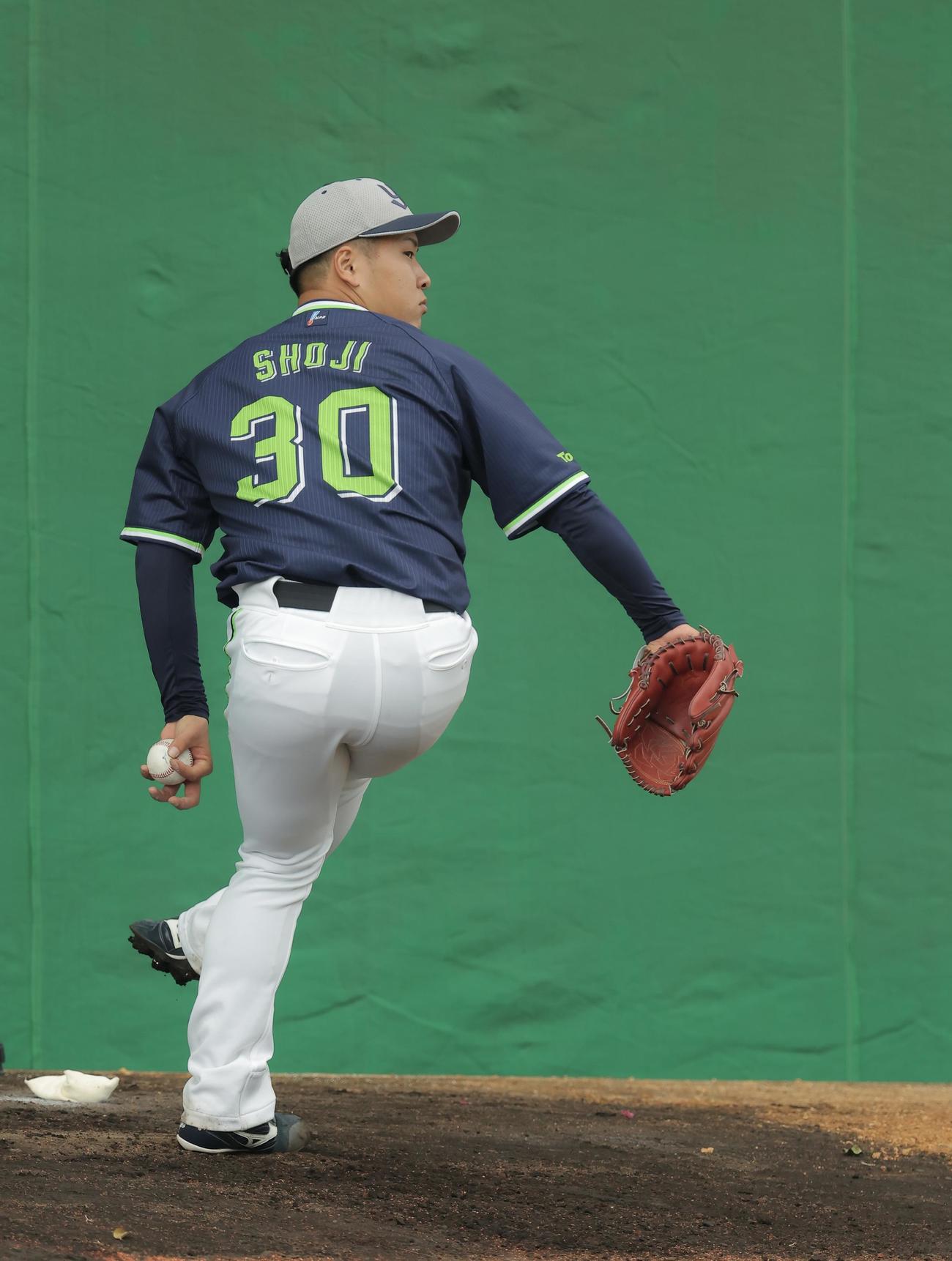 ブルペン投球するヤクルト荘司（撮影・河田真司）