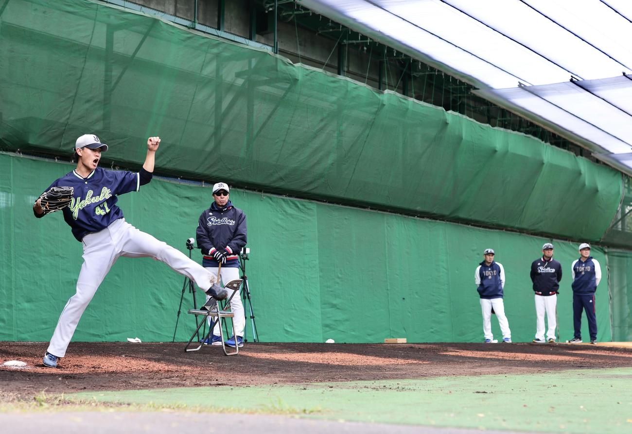 ブルペン投球するヤクルト高橋（左）。後方左は高津監督、右は古田氏（撮影・河田真司）