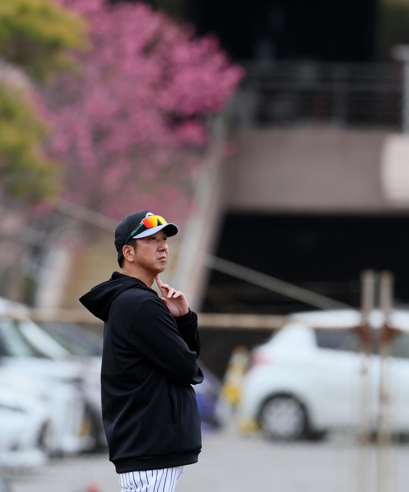 サブグラウンドで早出特守を見る阪神藤川監督（2025年2月1日撮影）