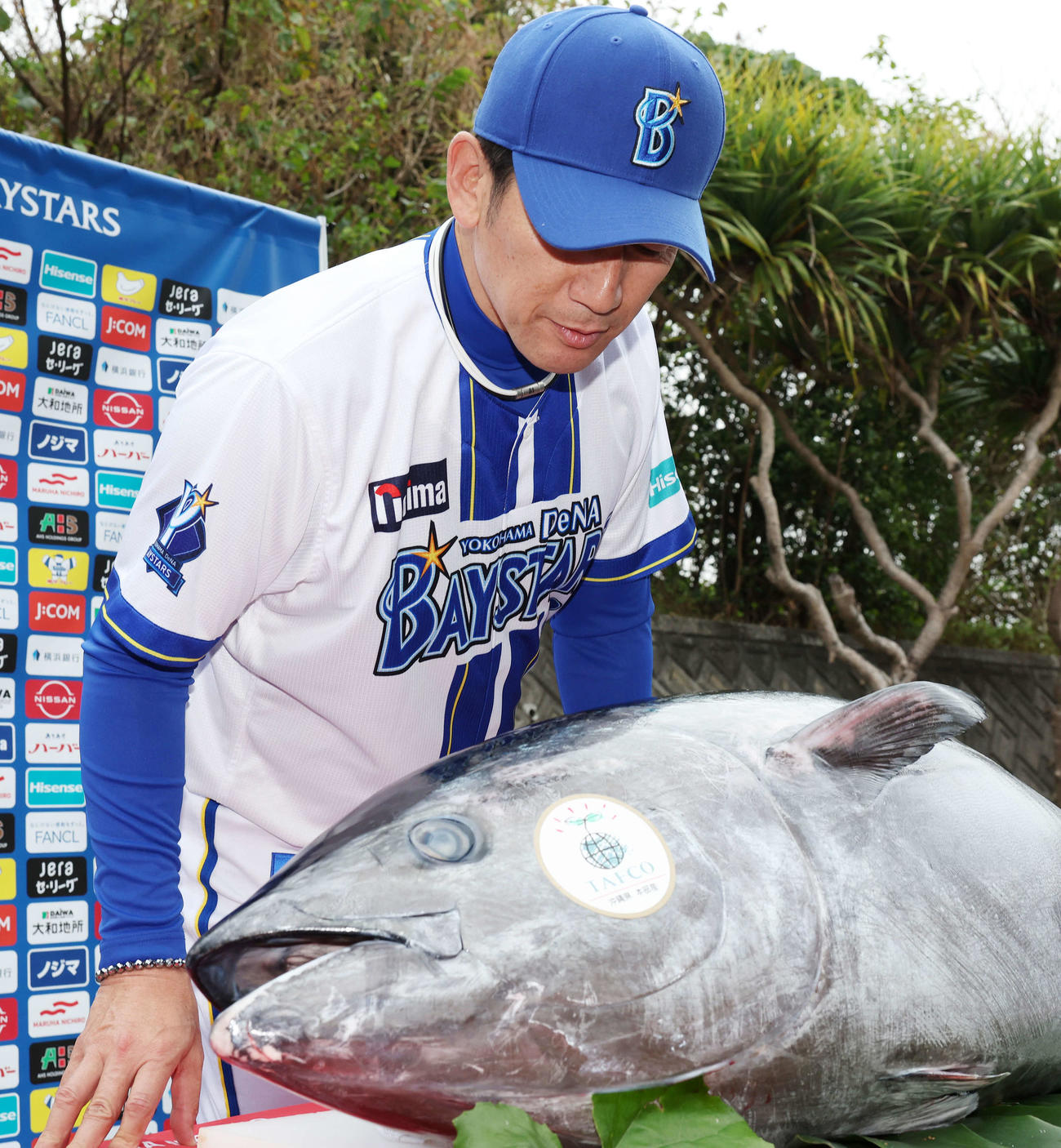 養殖クロマグロを見つめるDeNA三浦監督（撮影・鈴木正人）