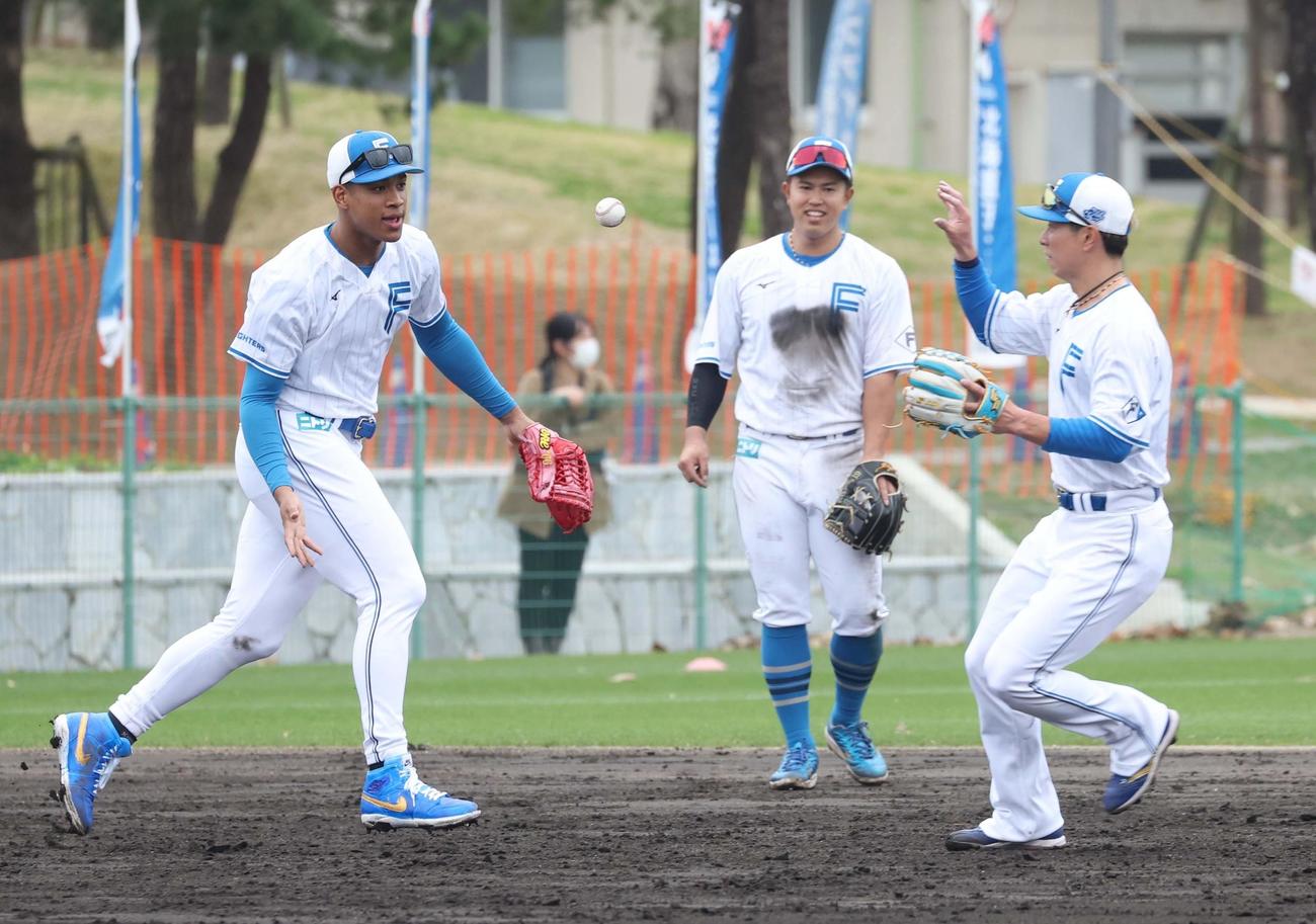 外野守備でトス練習をする日本ハム万波（左）と松本剛（撮影・黒川智章）