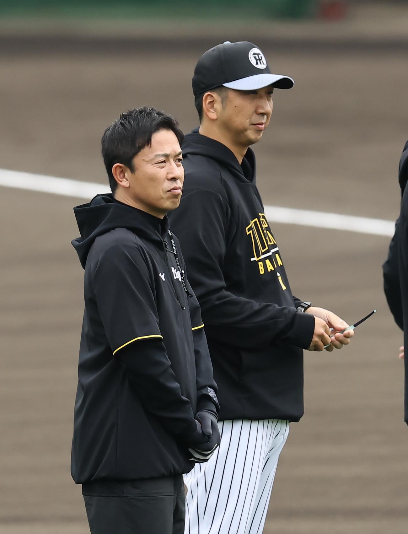 ナインを見る赤星憲広臨時コーチ（左）と藤川監督（撮影・藤尾明華）