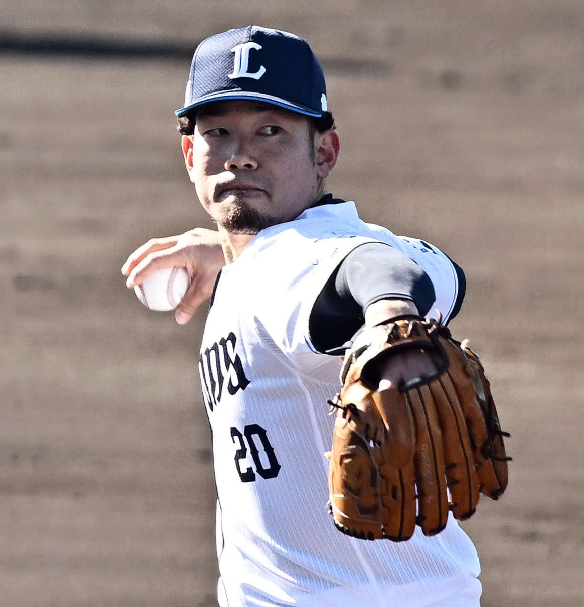西武田村（2025年2月4日撮影）