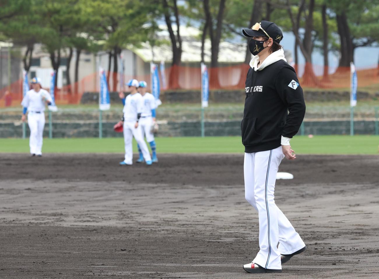外野手の練習を見る日本ハム新庄監督（撮影・黒川智章）
