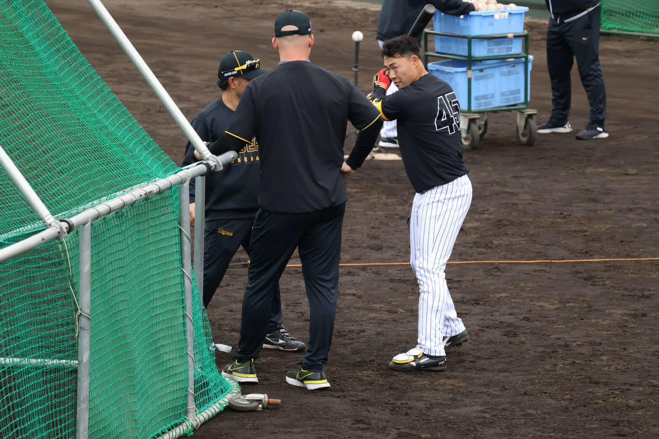 具志川キャンプでサンズ臨時コーチに指導を受ける阪神佐野（撮影・山崎健太）