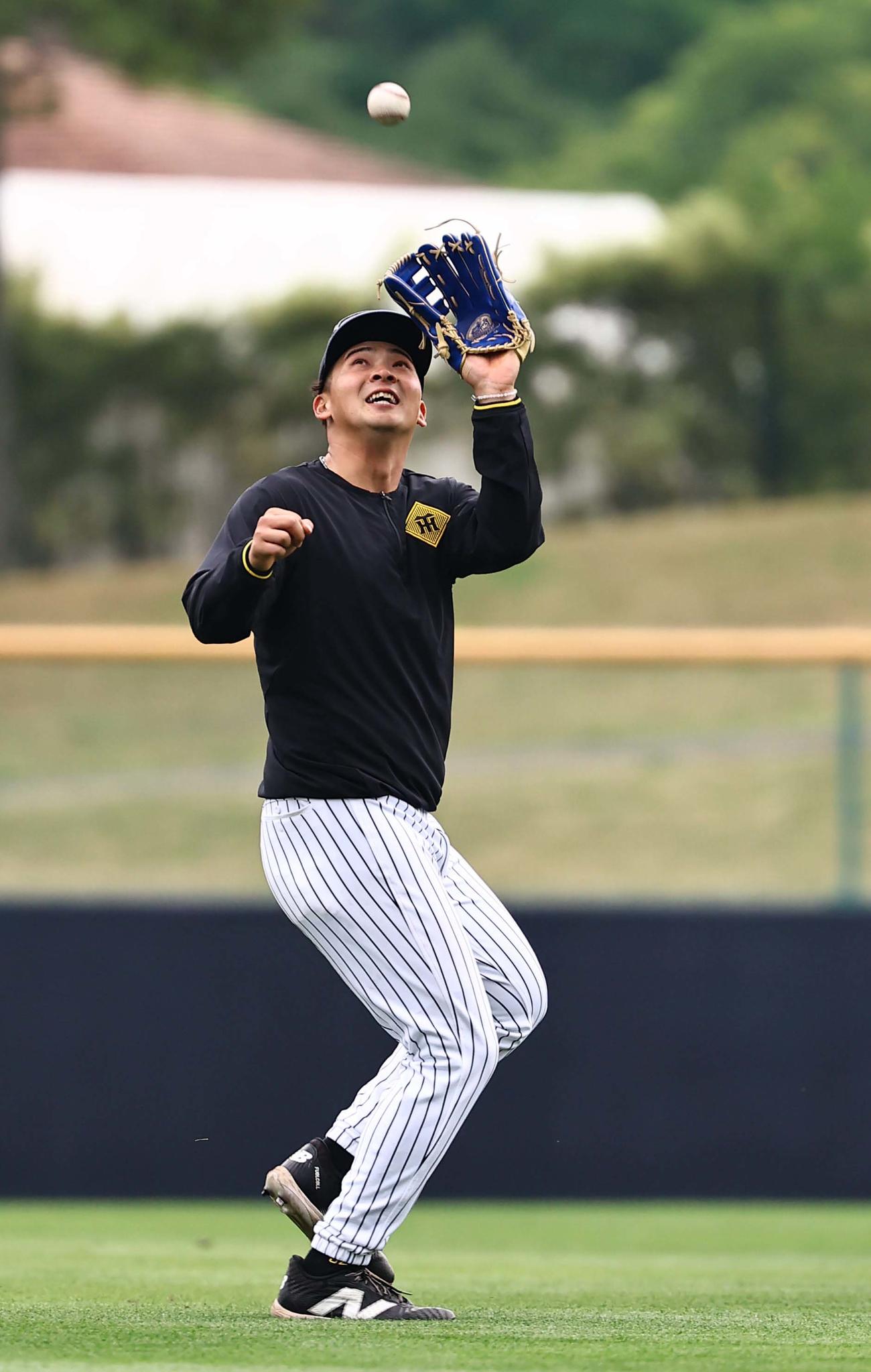 外野守備練習をする井上（撮影・上田博志）