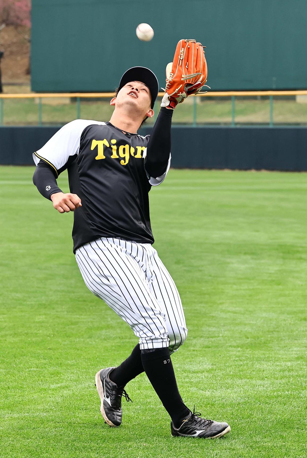 外野守備練習をする野口（撮影・上田博志）