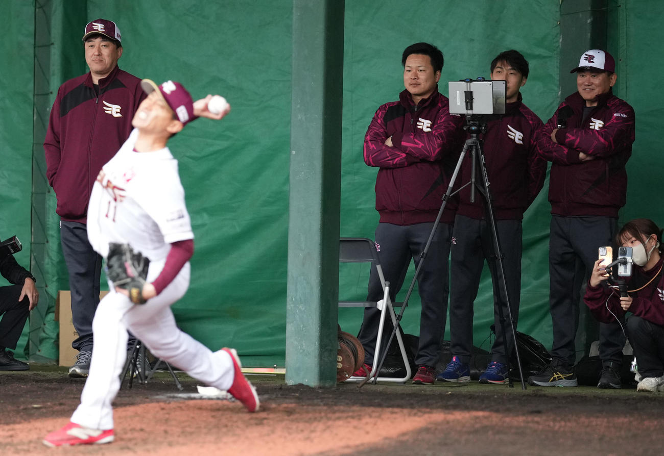 ブルペンで辰己の投球を見守る、三木谷オーナー（右上）と石井GM（左）（撮影・鈴木みどり）