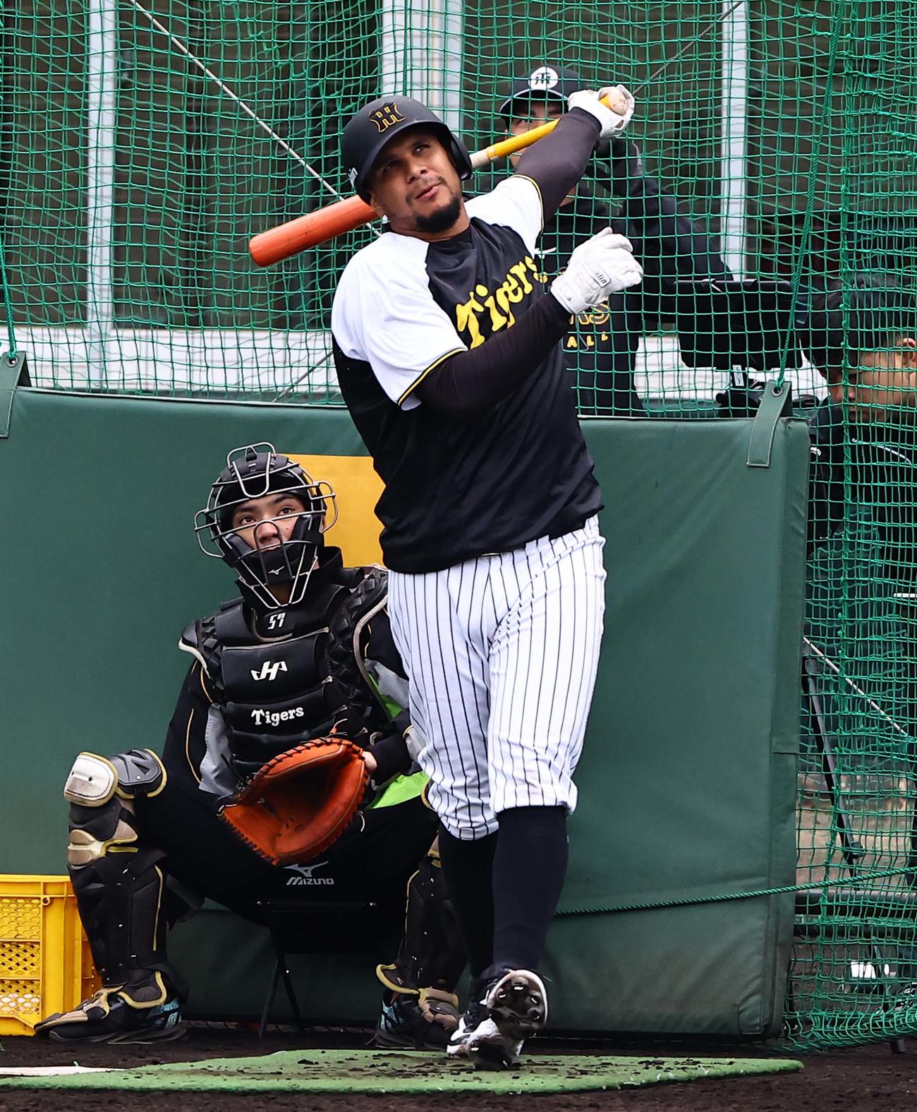 フリー打撃で柵越えするするヘルナンデス（撮影・上田博志）