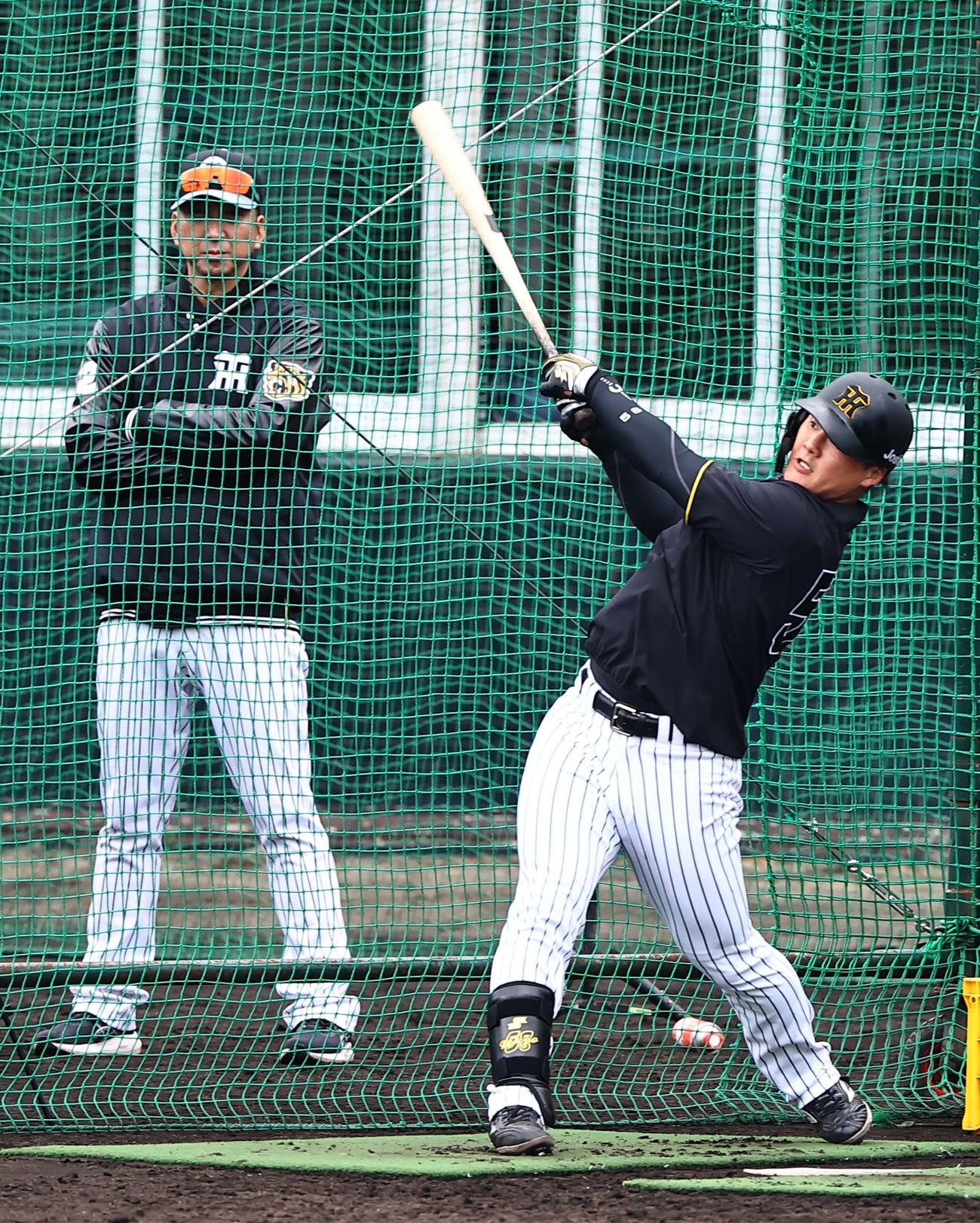 藤川監督（左）の前でフリー打撃練習をする前川（撮影・上田博志）