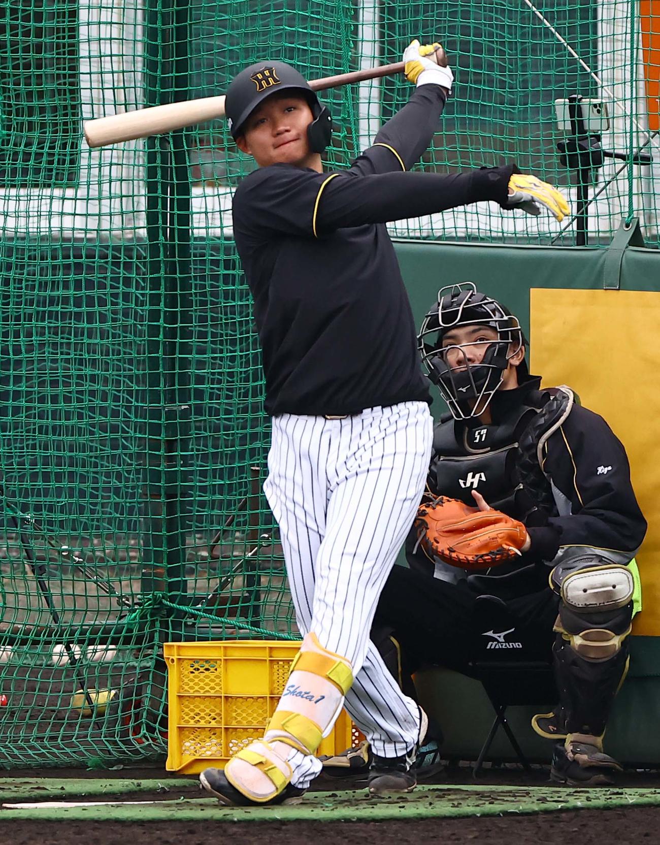 フリー打撃で特大弾を放つ森下（撮影・上田博志）