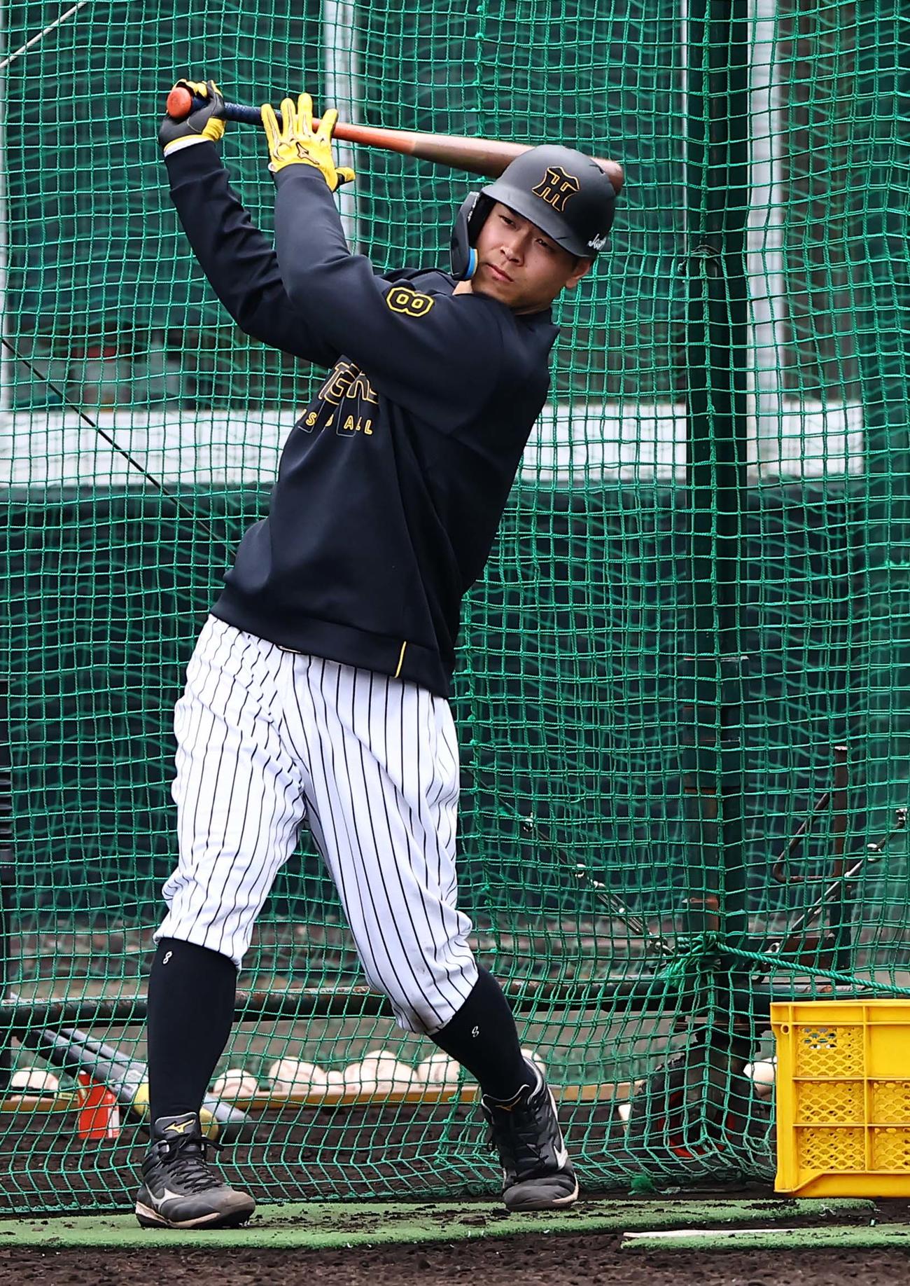 フリー打撃で快音を響かせる佐藤輝（撮影・上田博志）