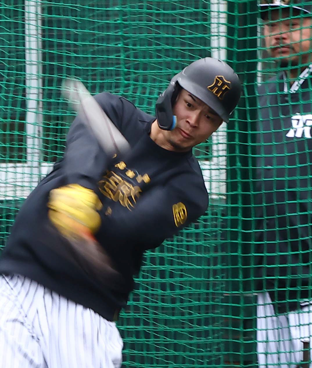 フリー打撃で快音を響かせる佐藤輝（撮影・上田博志）