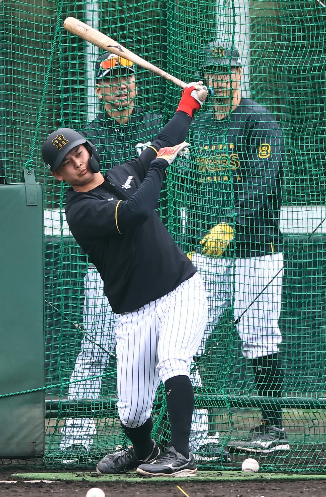 藤川監督（中央）のチェックを受けながらフリー打撃練習をする野口（撮影・上田博志）