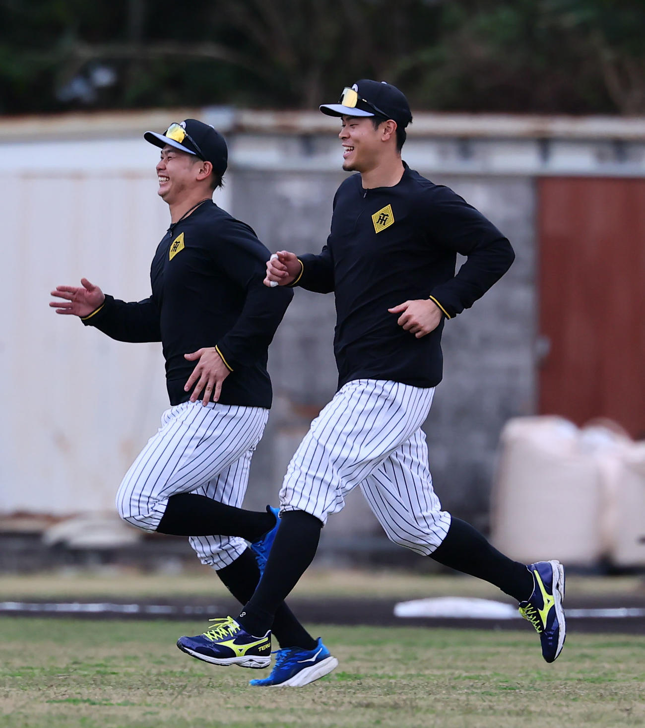 ダッシュをする阪神野口（左）と佐藤輝（撮影・藤尾明華）