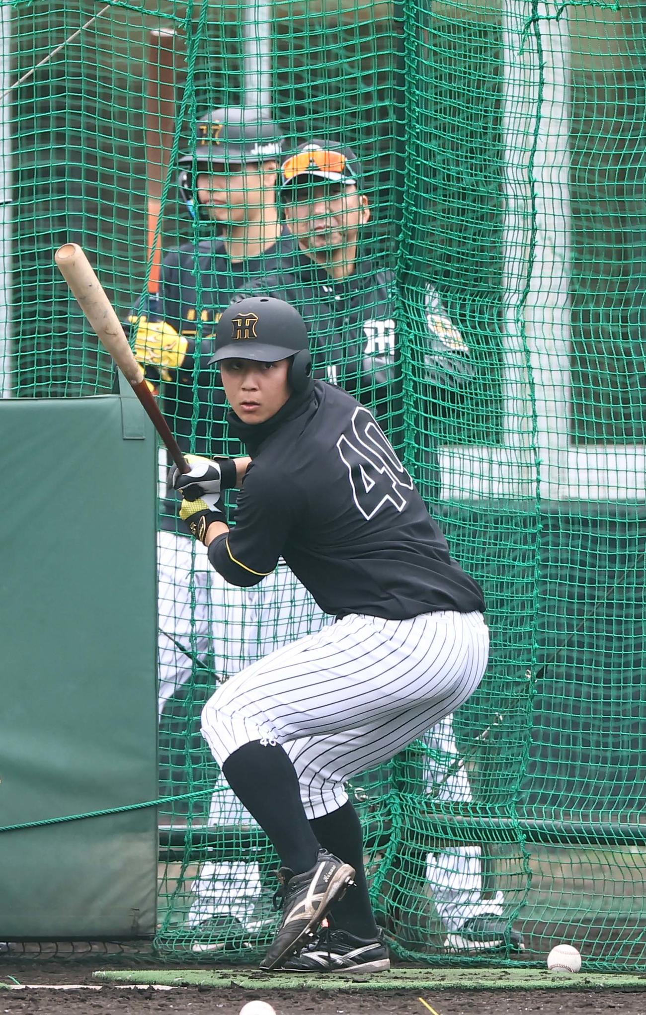 藤川監督（右）のチェックを受けながらフリー打撃練習をする井坪（撮影・上田博志）