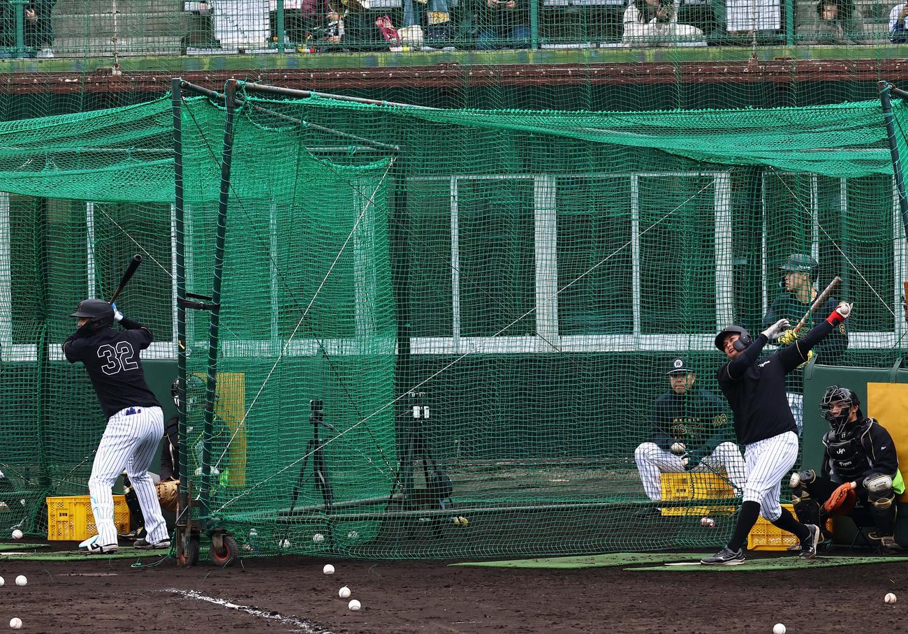フリー打撃練習をする野口（右）と井上（撮影・上田博志）