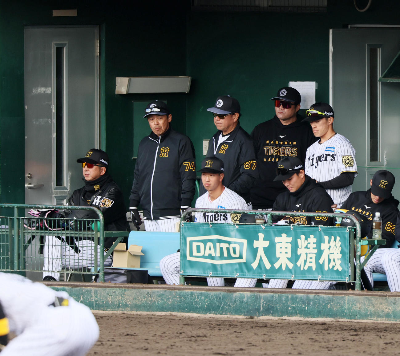 紅白戦　三塁側ベンチに座って試合を観戦する藤川監督（左）（撮影・加藤哉）