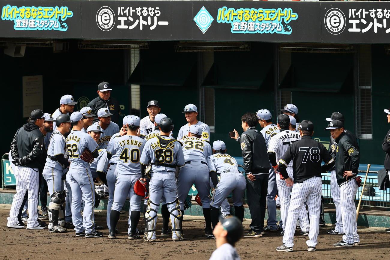 紅白戦を前に円陣を組む紅組（撮影・藤尾明華）