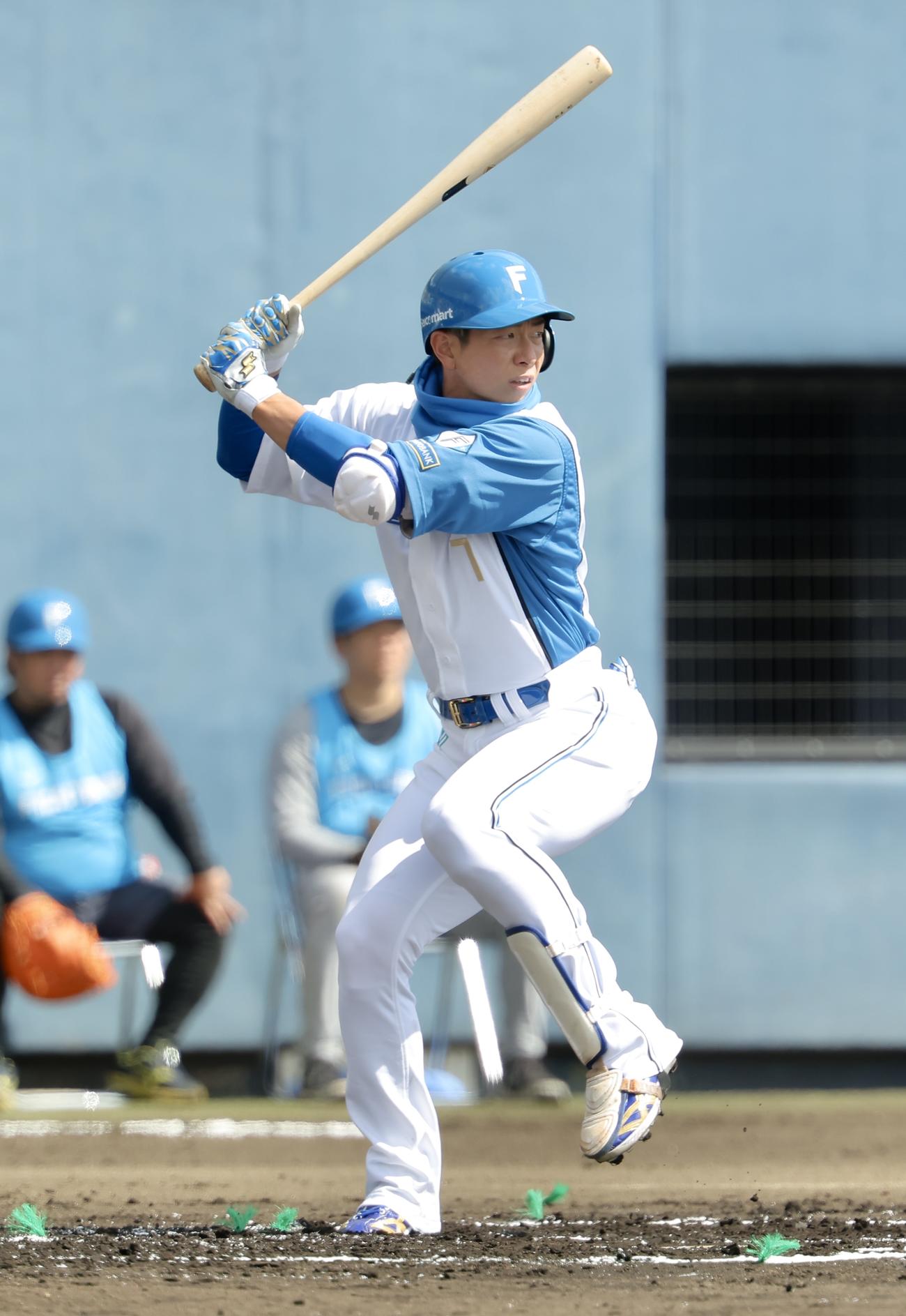 紅白戦　1回裏、打席に入る日本ハム松本剛（撮影・河田真司）