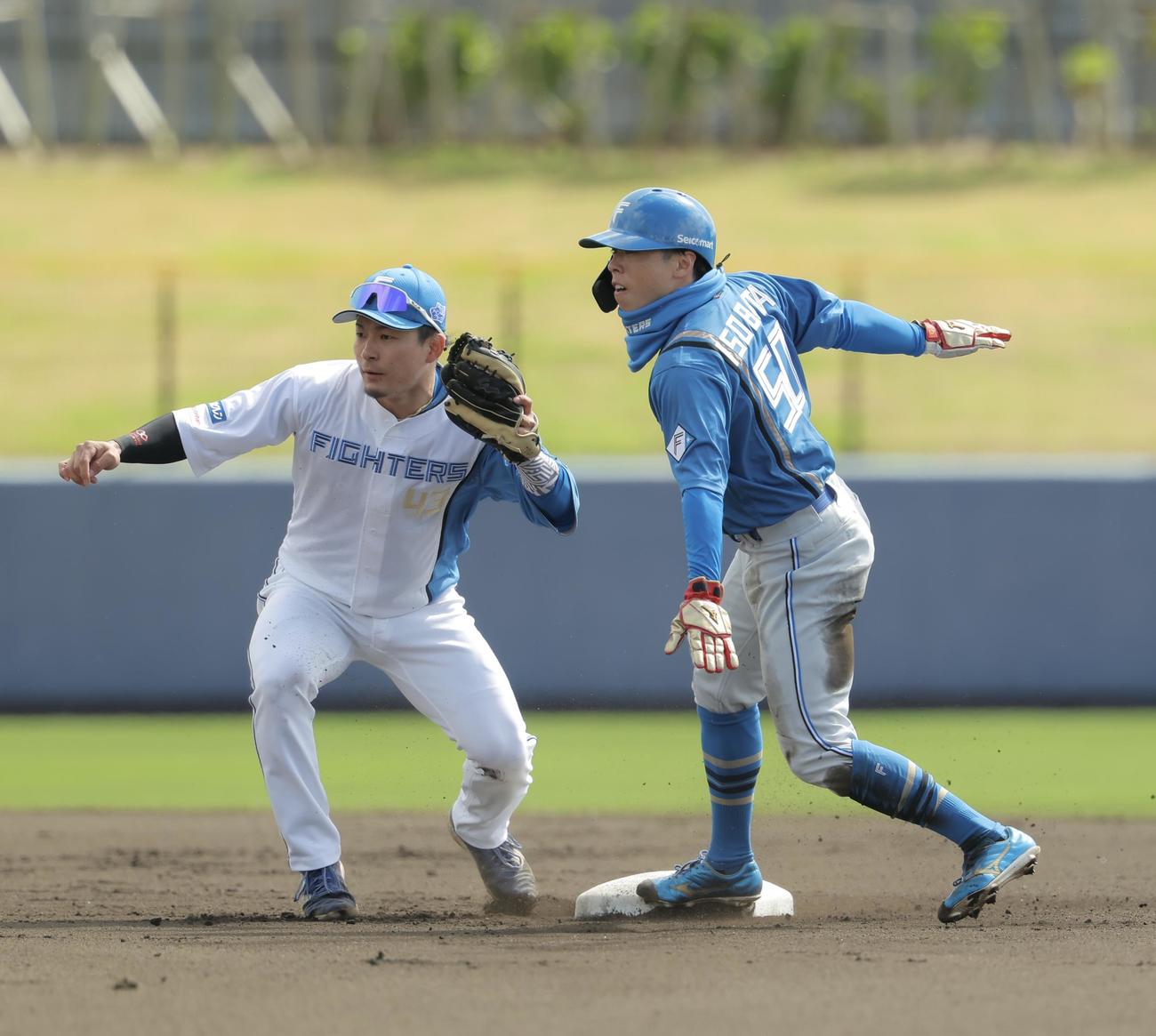 紅白戦　1回表紅組無死一塁、二盗を決める日本ハム五十幡（右）（撮影・河田真司）