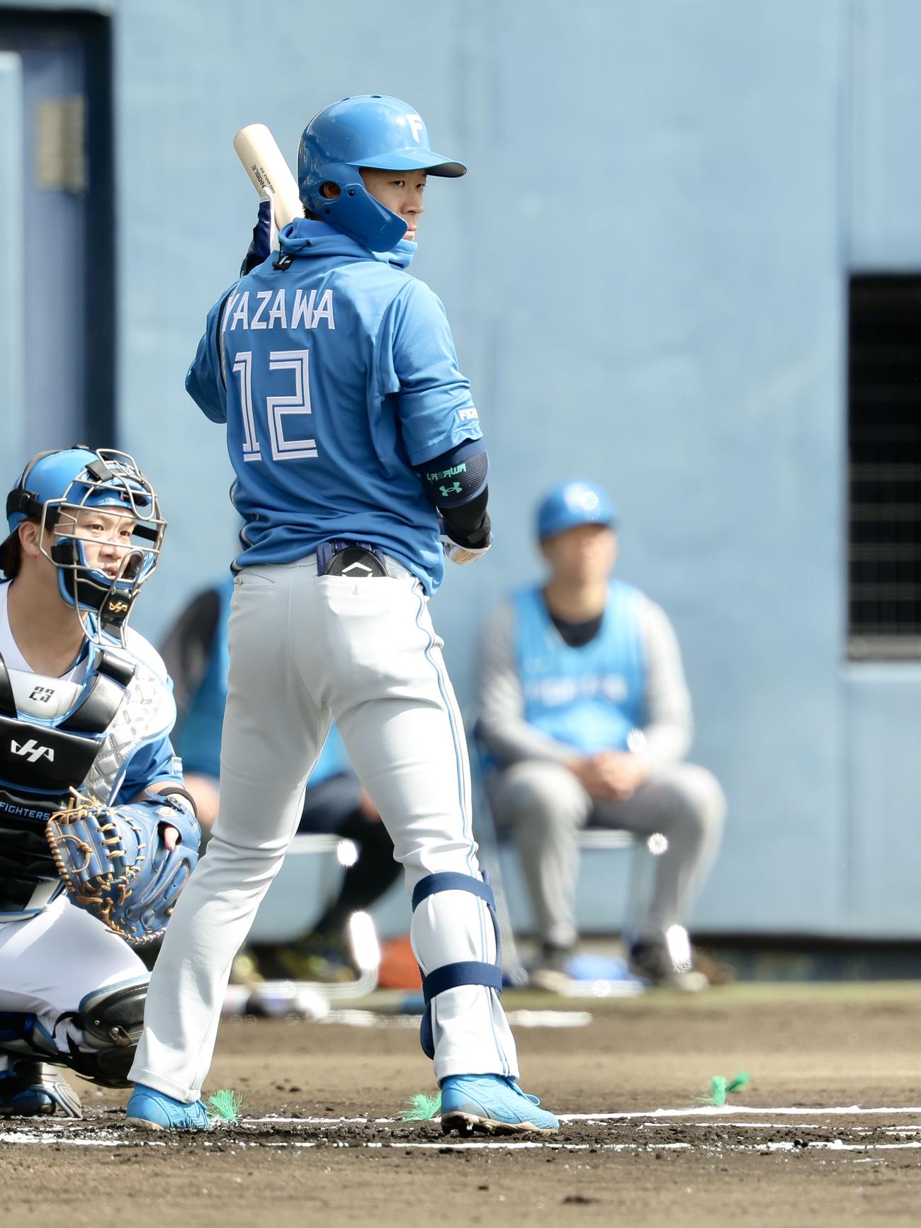 紅白戦　1回表、打席に入る日本ハム矢沢（撮影・河田真司）