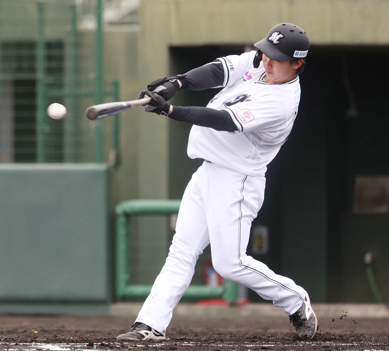 ライブBPで右前打を放つロッテ宮崎（撮影・宮地輝）