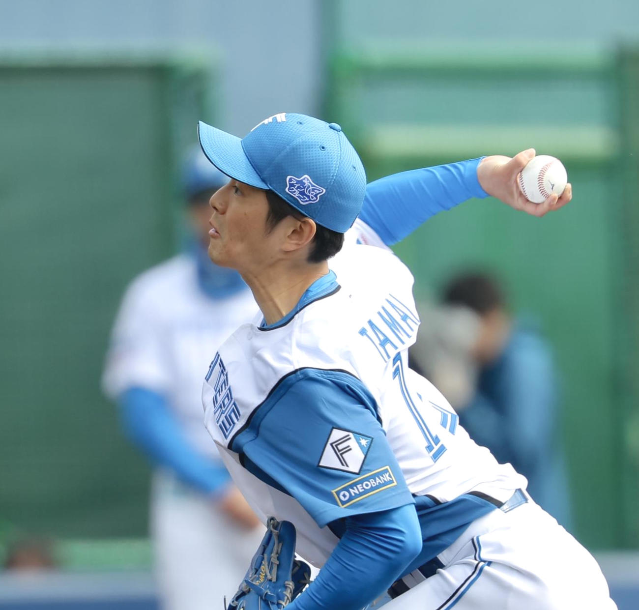 紅白戦　2回表、力投する日本ハム玉井（撮影・河田真司）