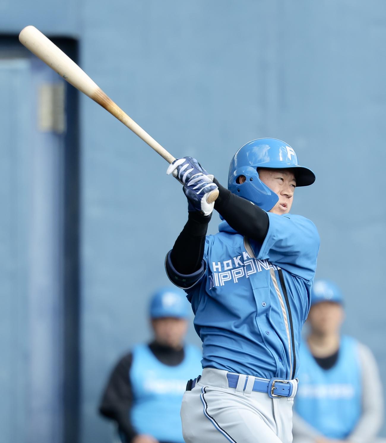 紅白戦　4回表、打席に入る日本ハム矢沢（撮影・河田真司）