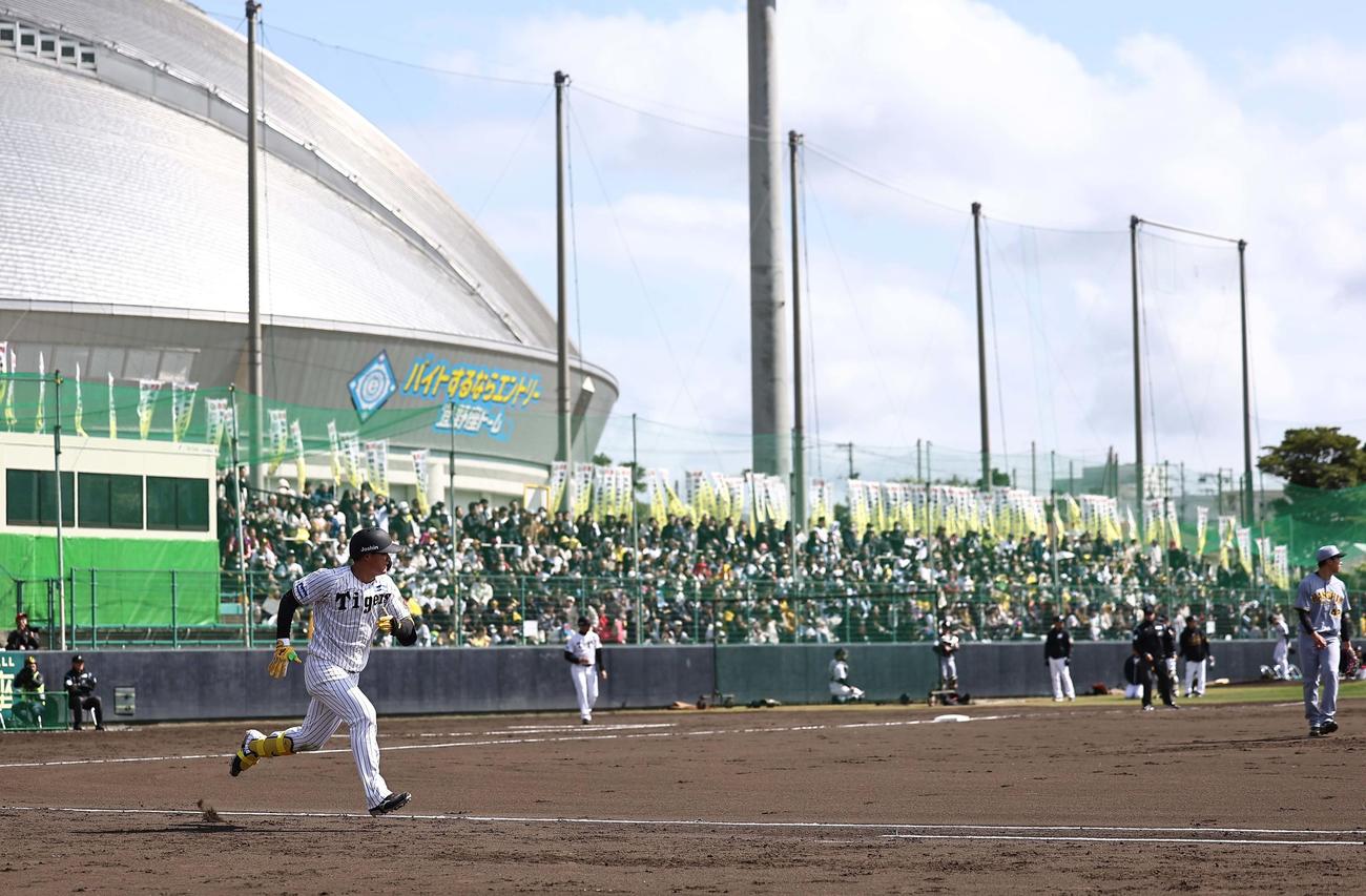 紅白戦　2回裏白組無死、森下は中前打を放つ（撮影・上田博志）