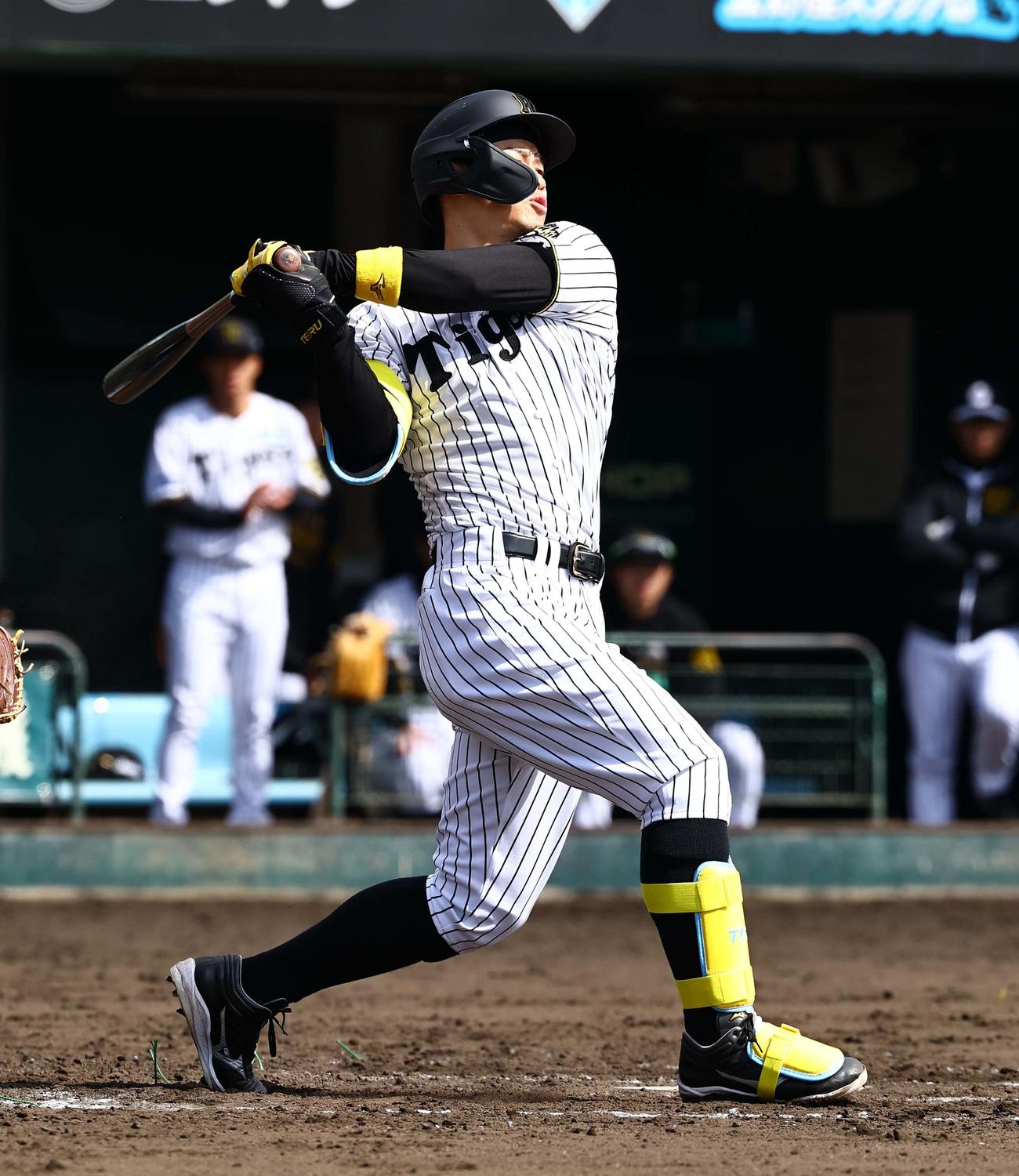 紅白戦　3回裏白組1死一、二塁、佐藤輝は三振に倒れる（撮影・上田博志）