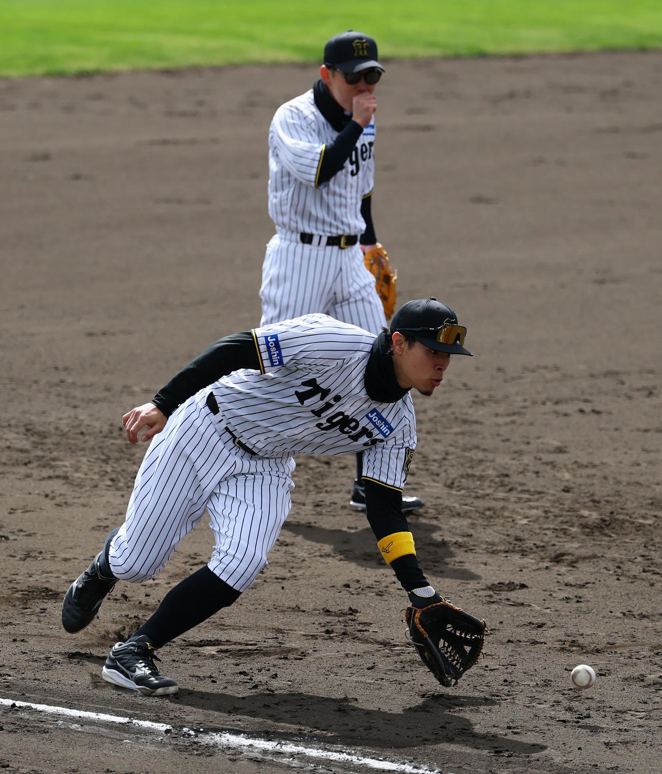 紅白戦前のシートノックで三塁守備につく佐藤輝（撮影・藤尾明華）