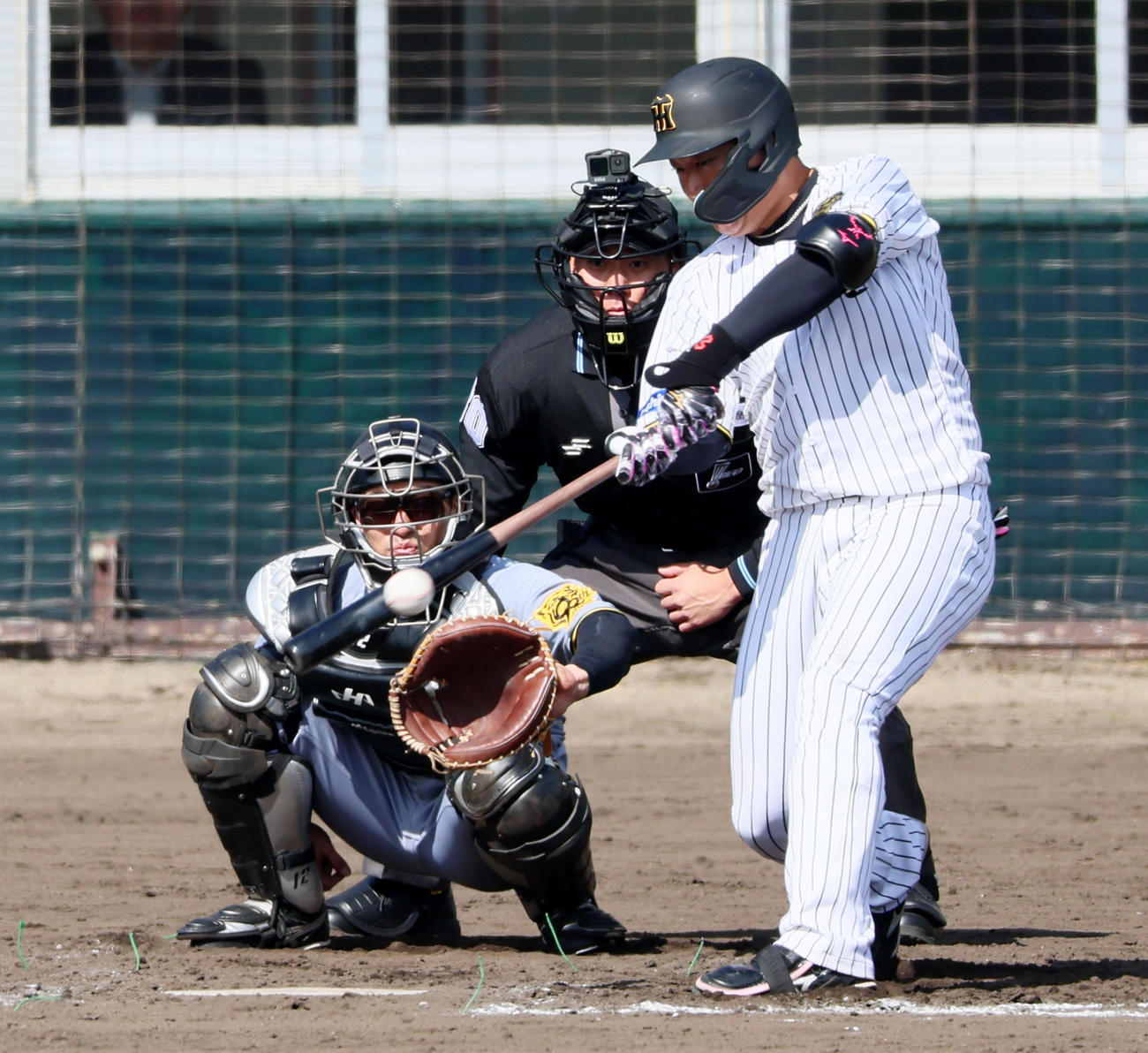 紅白戦　4回裏白組無死、左前打を放つ大山（撮影・加藤哉）