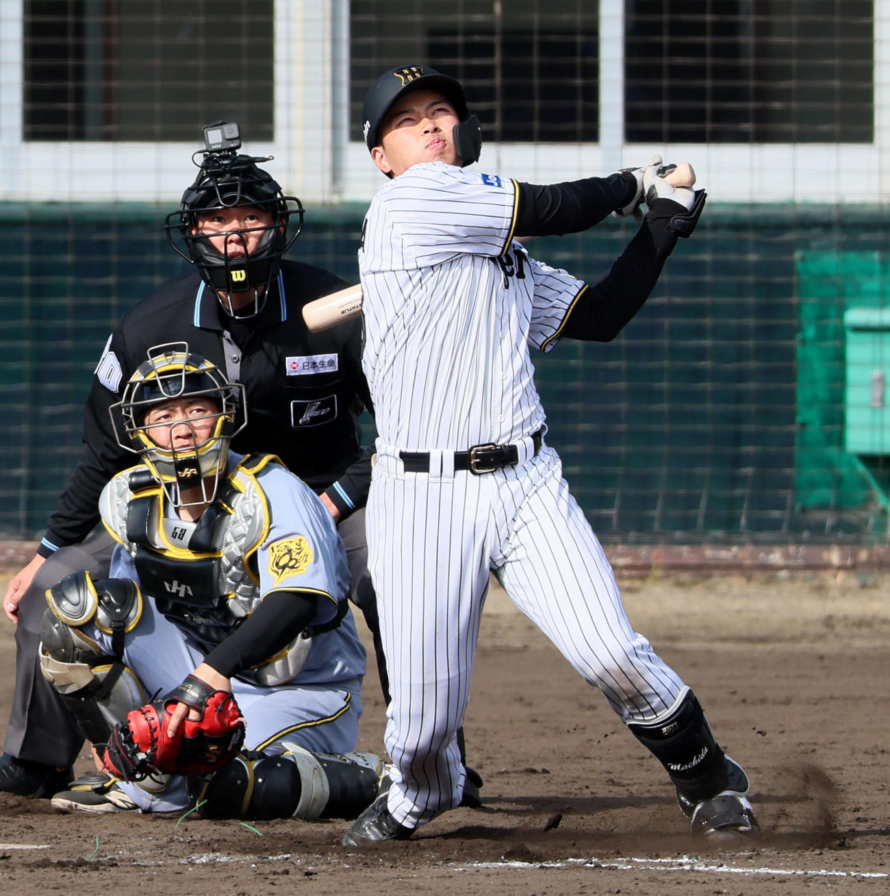 紅白戦　6回裏白組2死、新人の町田は左飛を打ち上げる（撮影・加藤哉）