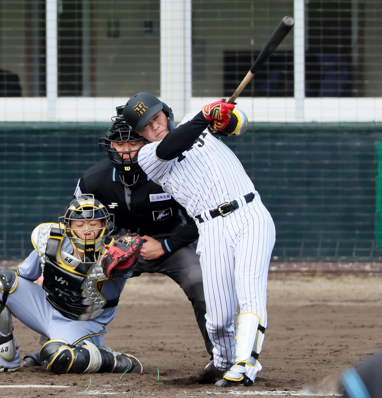 紅白戦　5回裏白組無死三塁、新人の佐野大陽は三ゴロに倒れる（撮影・加藤哉）