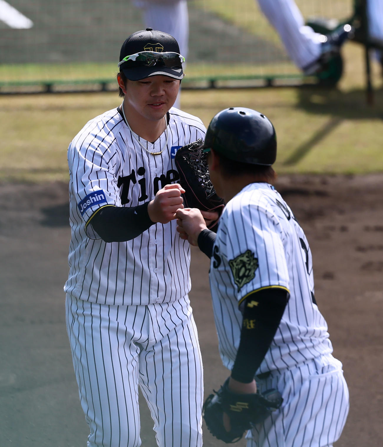 紅白戦前に梅野とあいさつを交わす楠本（撮影・藤尾明華）