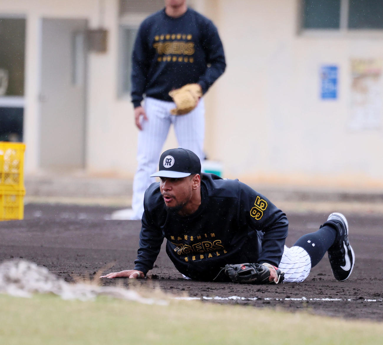 早出特守でボールを追ってグラウンドに転倒するヘルナンデス（撮影・加藤哉）