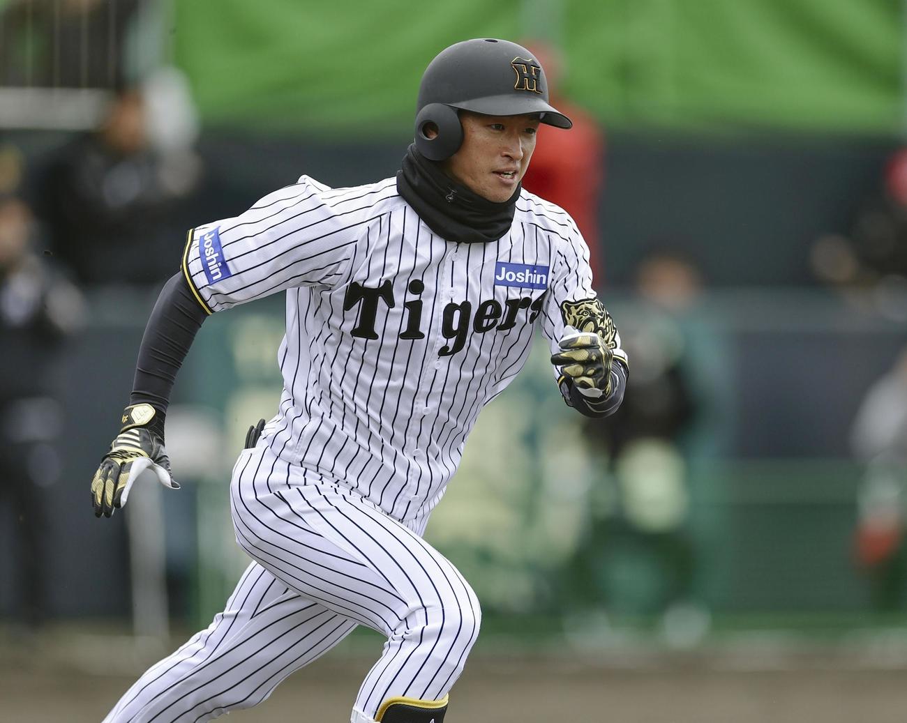 紅白戦で一塁強襲の安打を放つ阪神・近本（共同）