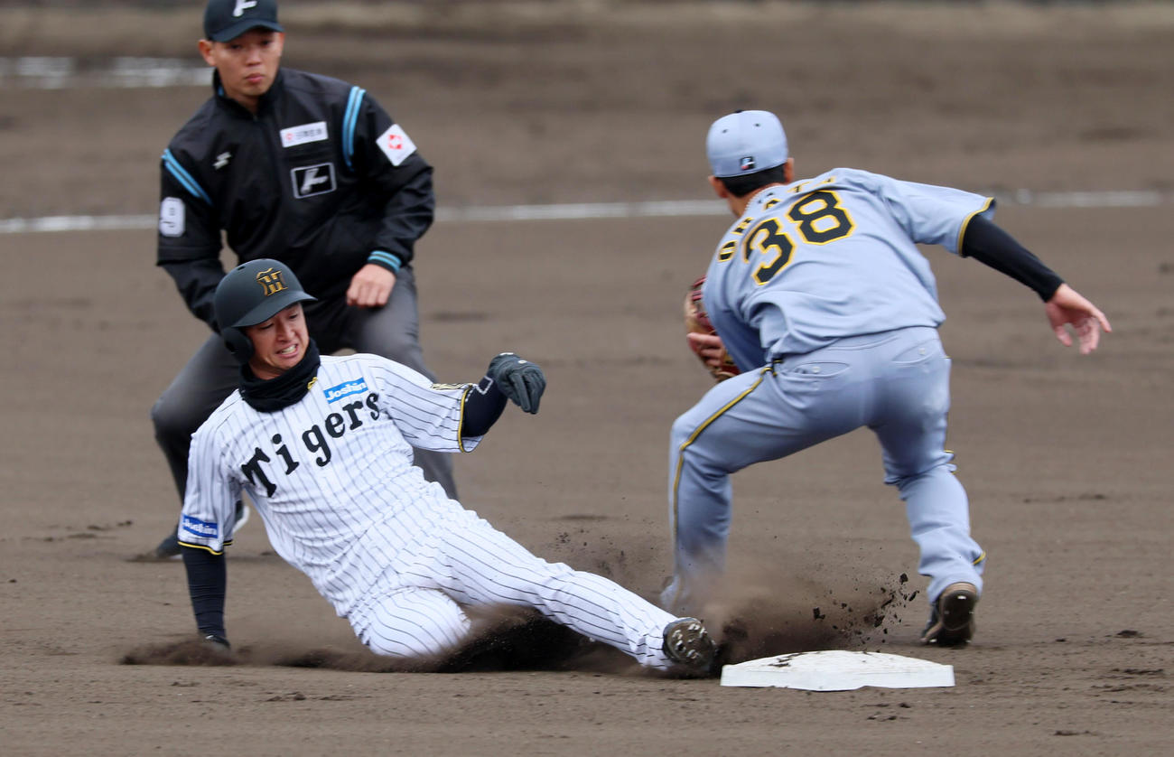 紅白戦　1回裏白組1死一塁、近本は二盗を決める。野手小幡（撮影・加藤哉）