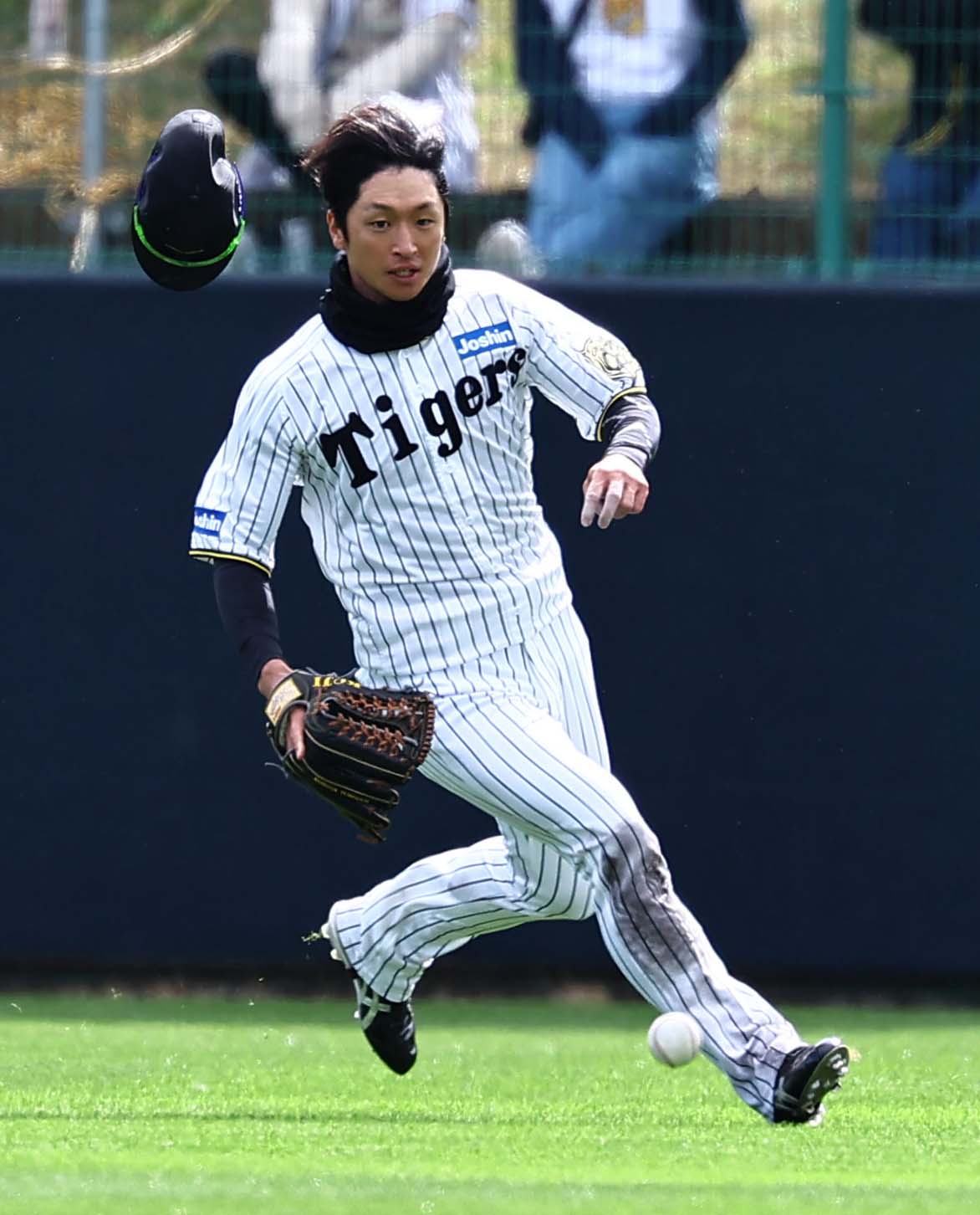 紅白戦　3回表紅組2死一、二塁、近本は帽子を飛ばしながら井坪の打球を処理する（撮影・上田博志）