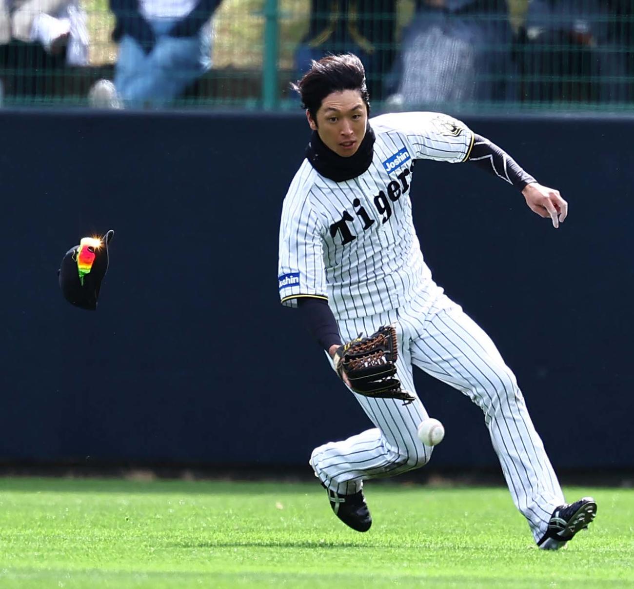 紅白戦　3回表紅組2死一、二塁、近本は帽子を飛ばしながら井坪の打球を処理する（撮影・上田博志）