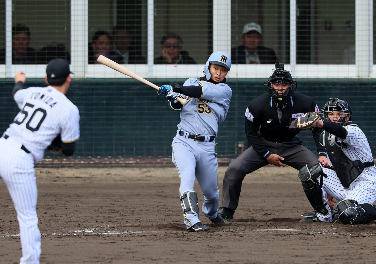 紅白戦　6回表紅組1死一塁、島田は右前打を放つ。投手富田（撮影・加藤哉）