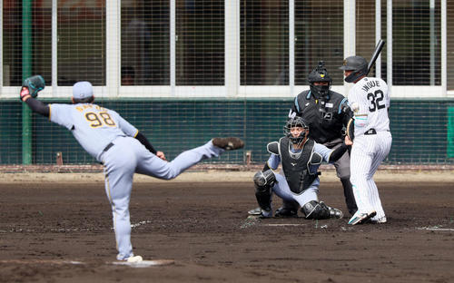 紅白戦　2回裏白組2死、井上は佐藤蓮から死球を受ける（撮影・加藤哉）