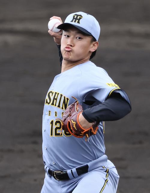 紅白戦　6回、5番手で登板した紅組森木（撮影・藤尾明華）