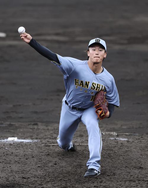 紅白戦　6回、5番手で登板した紅組森木（撮影・藤尾明華）
